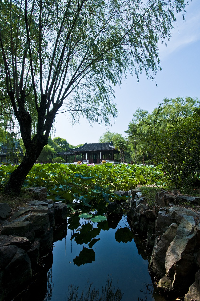 聊城花卉园门票价格详解